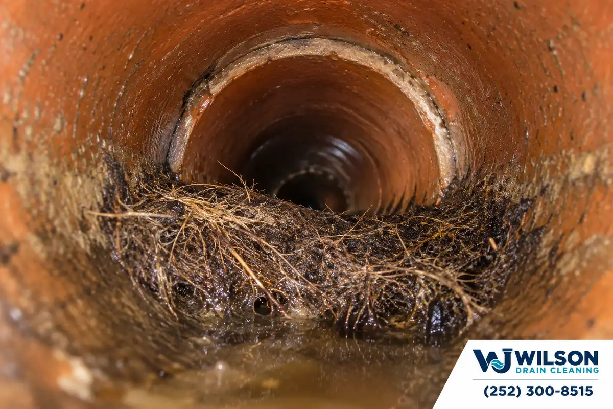 Before view: Internal sewer pipe camera view.